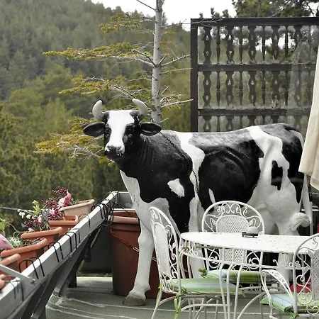 Amoretes Ξενοδοχείο